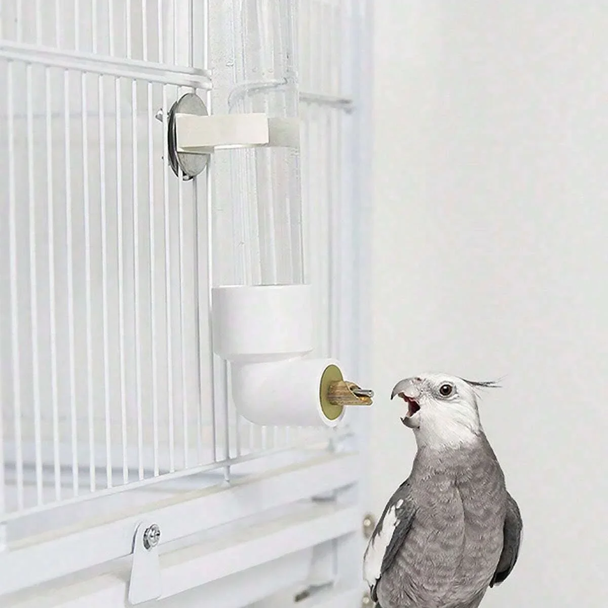 Parrot Automatic Water Dispenser Equipment For Birds
