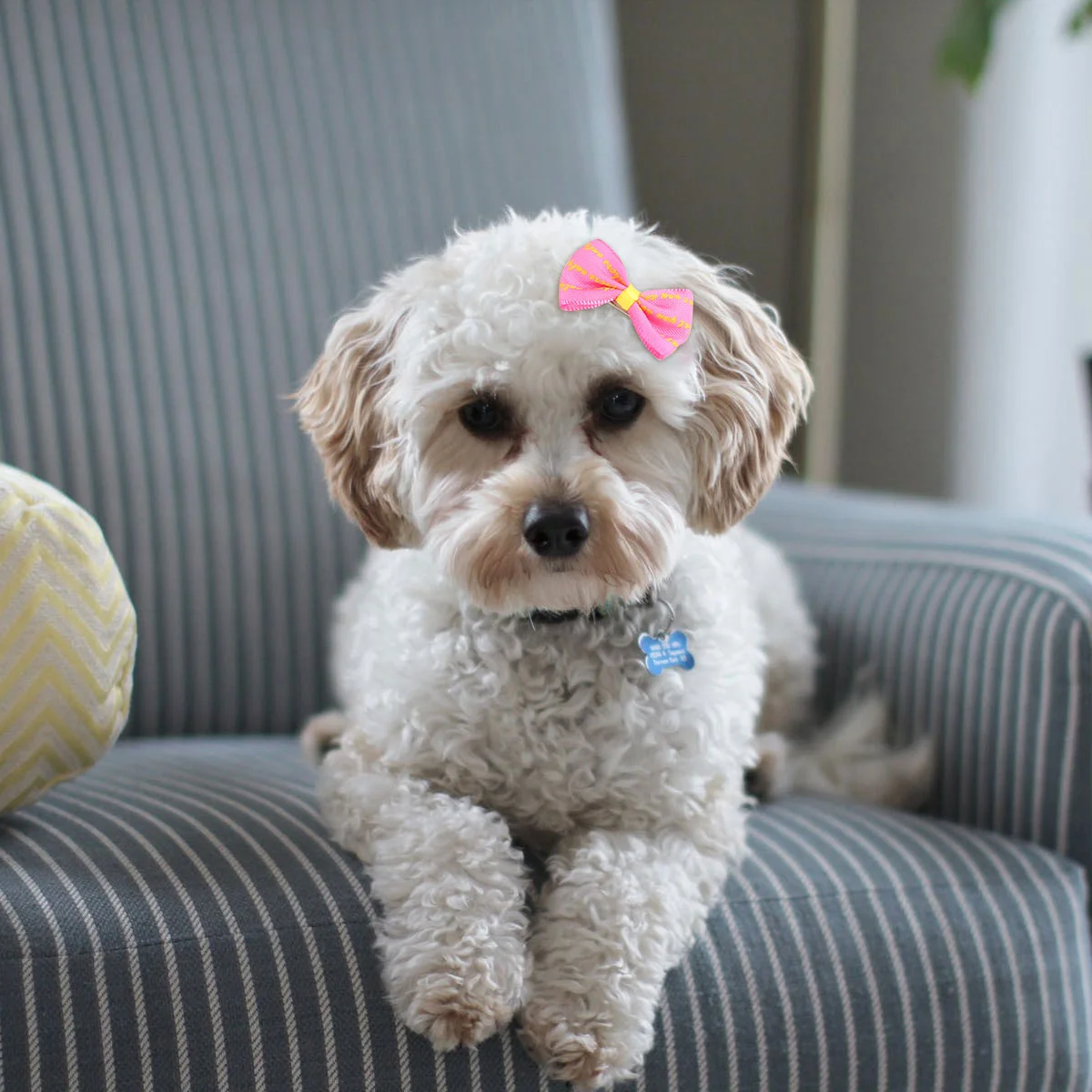 

Puppy Dog Hair Bow Alligator Clips Small Adorable Bowknot Hairpin Kitten Bow Barrettes Pet Grooming Hair Accessories