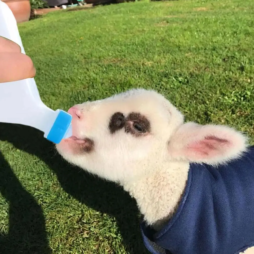 Bottiglia per l'alimentazione di animali da fattoria premium da 800 ml, biberon per agnelli invertito con manico, biberon veterinario per ovini e suinetti - immagine 3