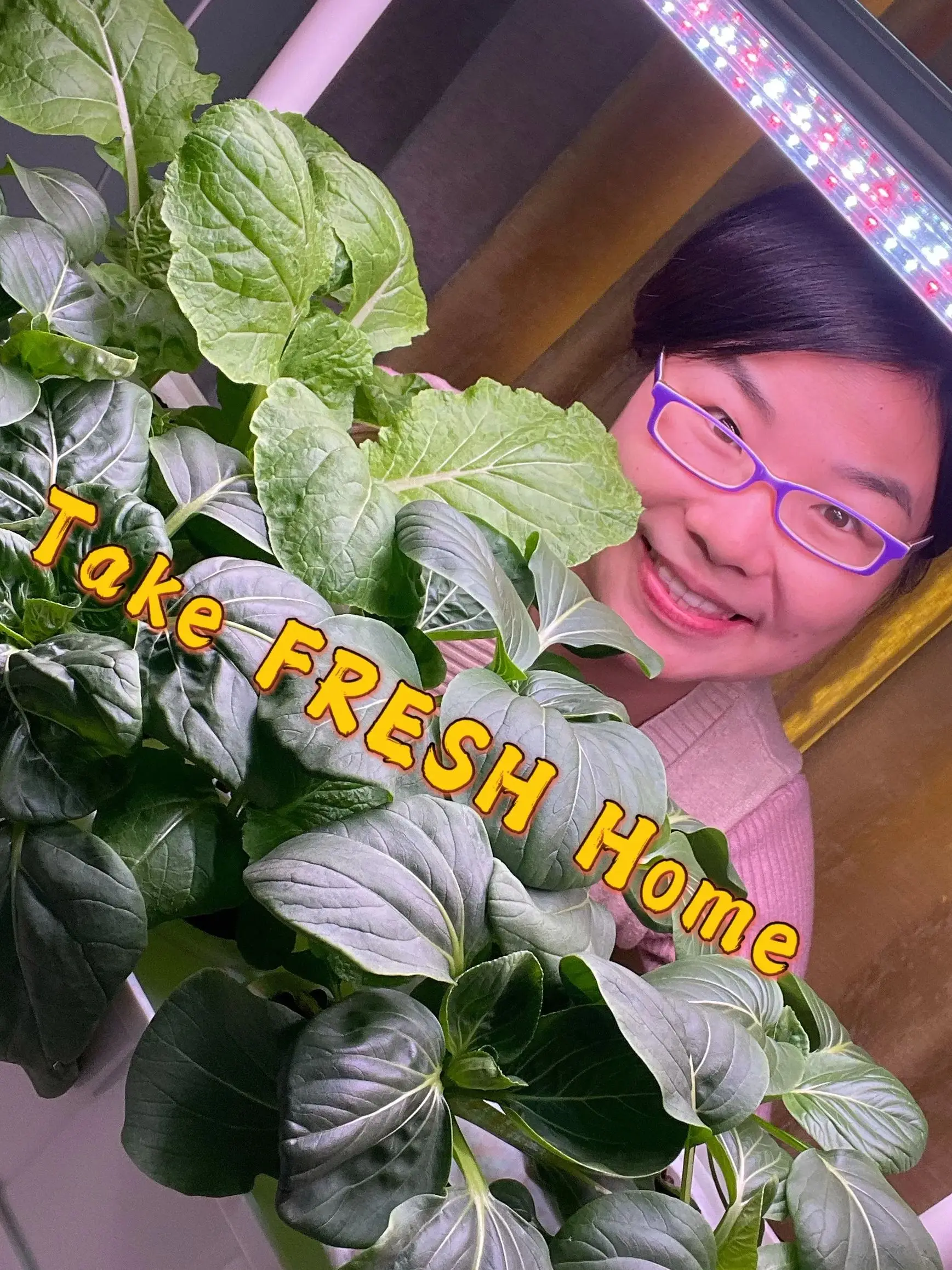 Kit de sistema hidropónico para interiores, torre de jardín para el hogar, 3 capas, 42 agujeros con 6 piezas de luz de cultivo - Imagen 4