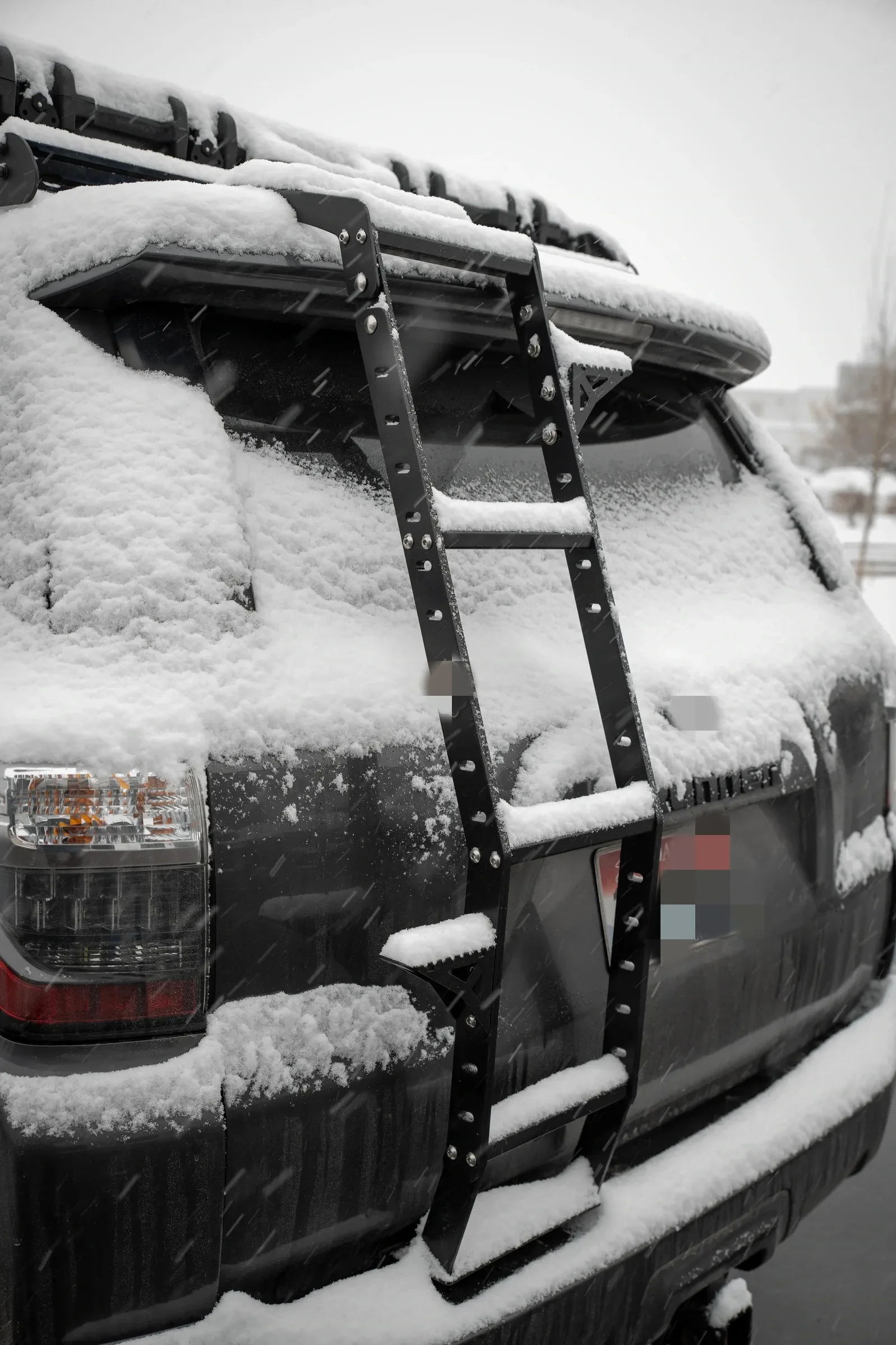 Spedking 2010-4x4 accessories Aluminum ladder for 4Runner