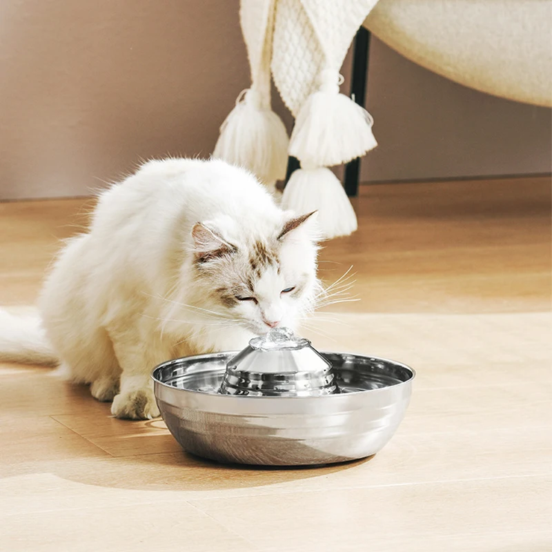 Stainless Steel Fountain Bundle