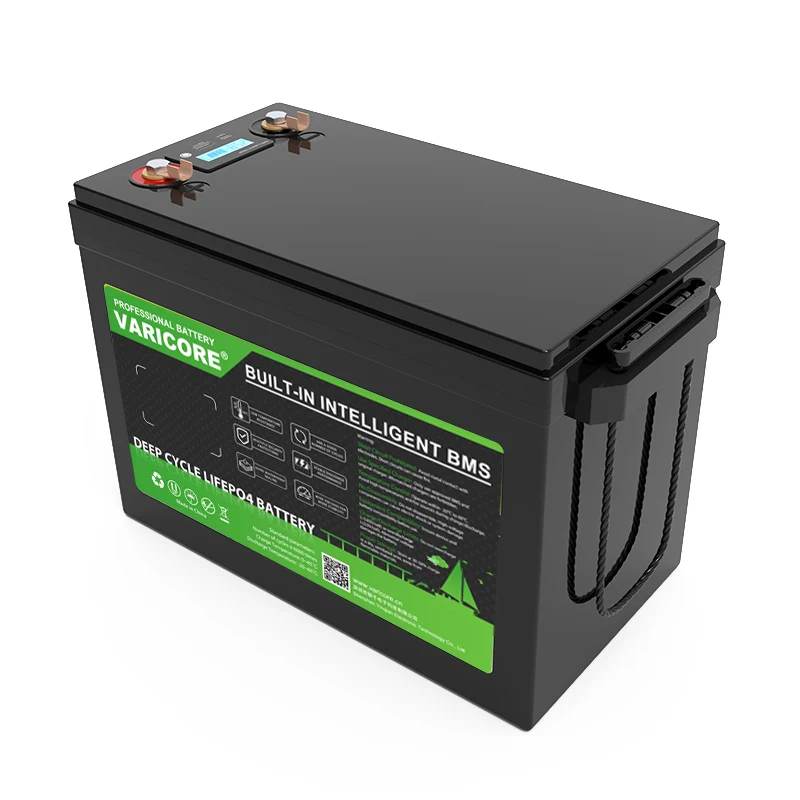 Batteria Ricaricabile al Litio LiFePO4 24V 100Ah 8s per Veicoli Elettrici, Camper, Golf Cart, Auto da Viaggio, Batterie per Accendisigari, Caricabatterie 29.2V - immagine 3