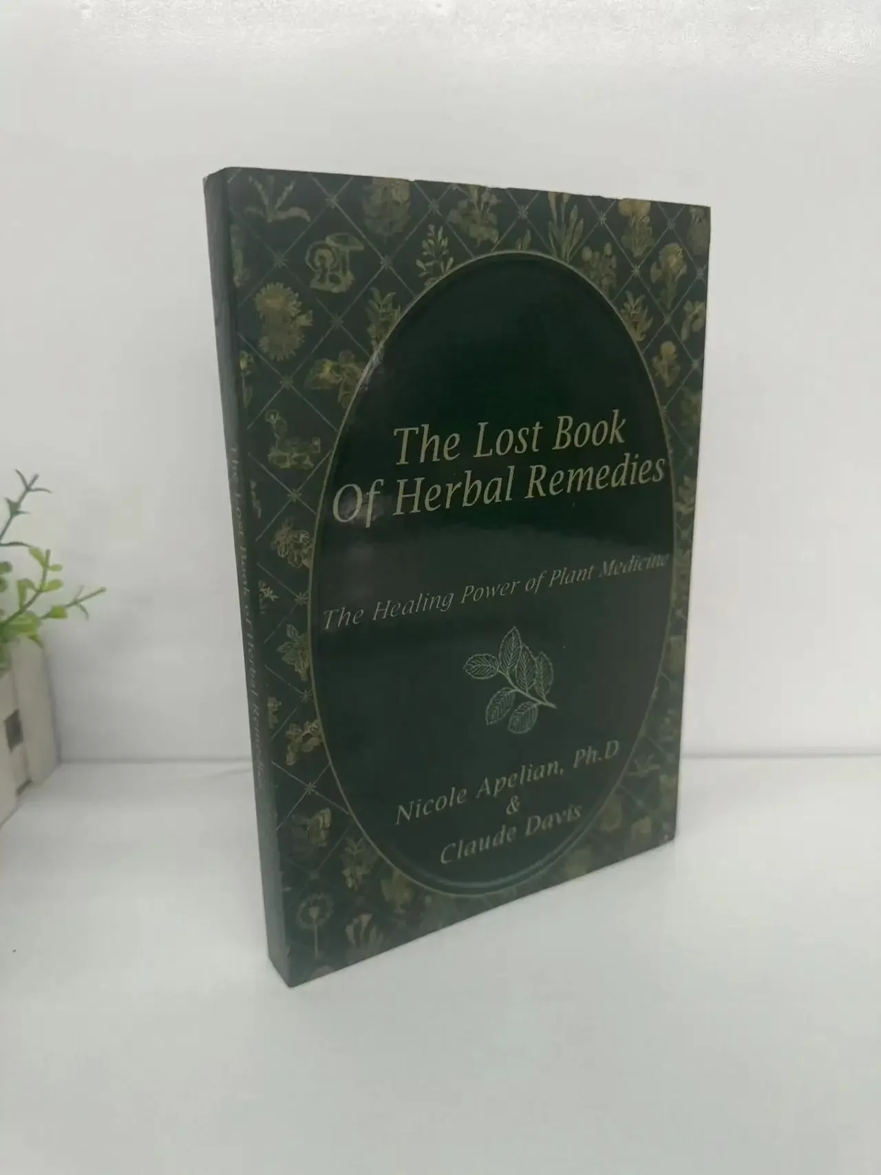 

The Lost Book of Herbal Remedies The Healing Power of Plant Medicine Colored Inner Pages Paperback