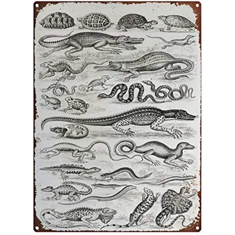 

Vintage Tin Signs for Garage Reptile Collection Print, Antique Animal Painting, Vintage Drawing Metal Sign Art, Reptile Types