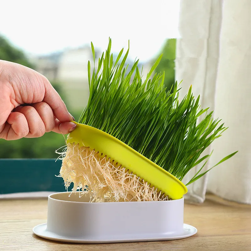 Hydroponic Plant Kits 1pc Cat Grass Hydroponic Box: Creative Pots for Super Beautiful Indoor/Outdoor Home Decor Garden Patio Hydroponics Growing Kit Hydroponic Garden Kit Sprout Growing Kit Hydroponic Plant Pots