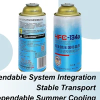Réfrigérant AC pour voiture, 250g, recharge de climatiseur, liquide de réfrigération pour véhicule, pour l'entretien des camions et les déplacements domicile-travail 1
