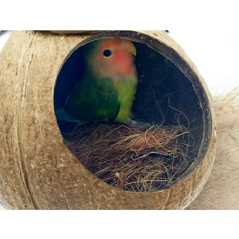 Best Nesting Material For Budgies | tca.dothome.co.kr