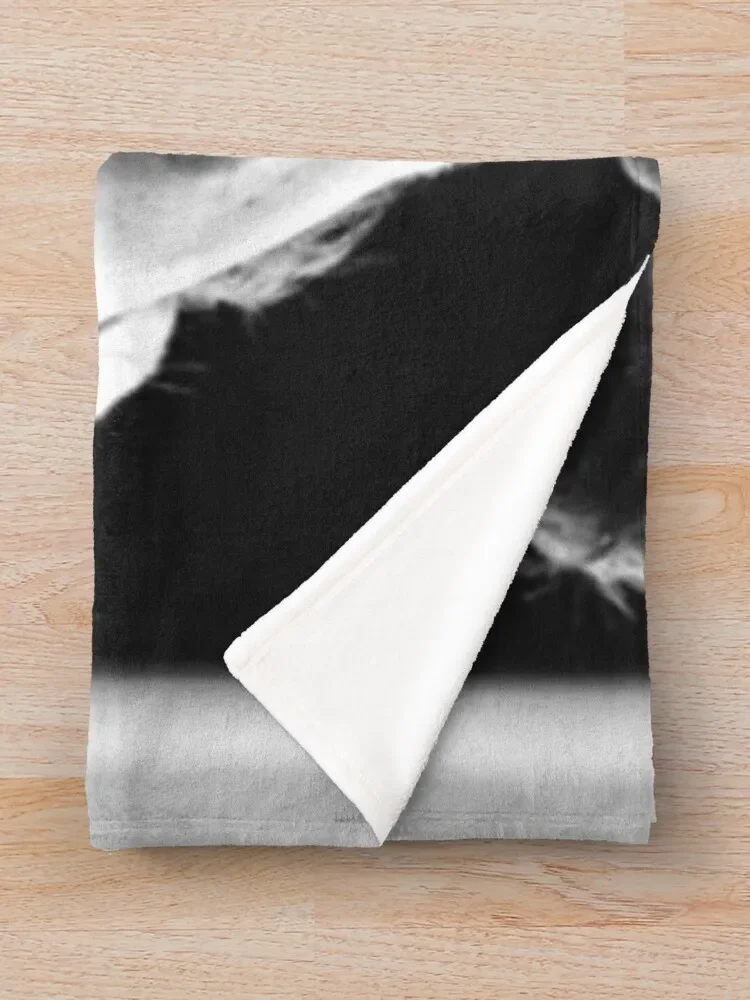 Dylan obrien ������ ���, ���� �غ� ���