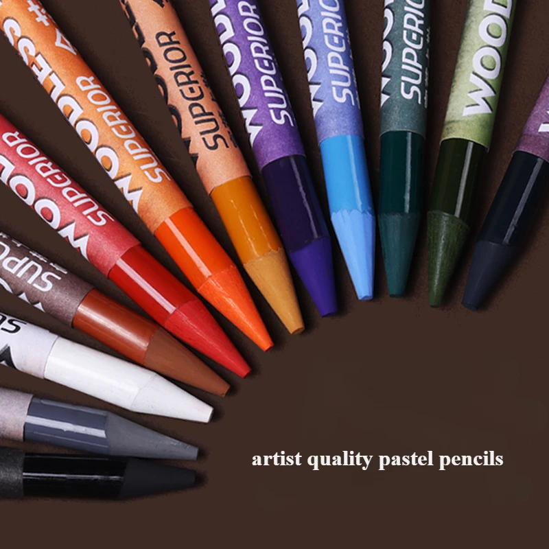 Woodless Pastel Pencils 24 Colors 7mm Core Artist Grade Chalk Charcoal Pencil Great Blending and Layering Sketching in Case 6