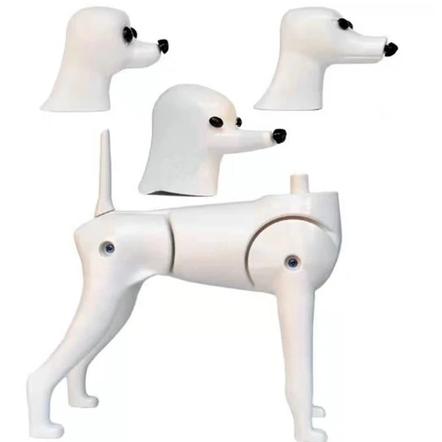 Dog Mannequin Display, Dog Grooming Mannequin