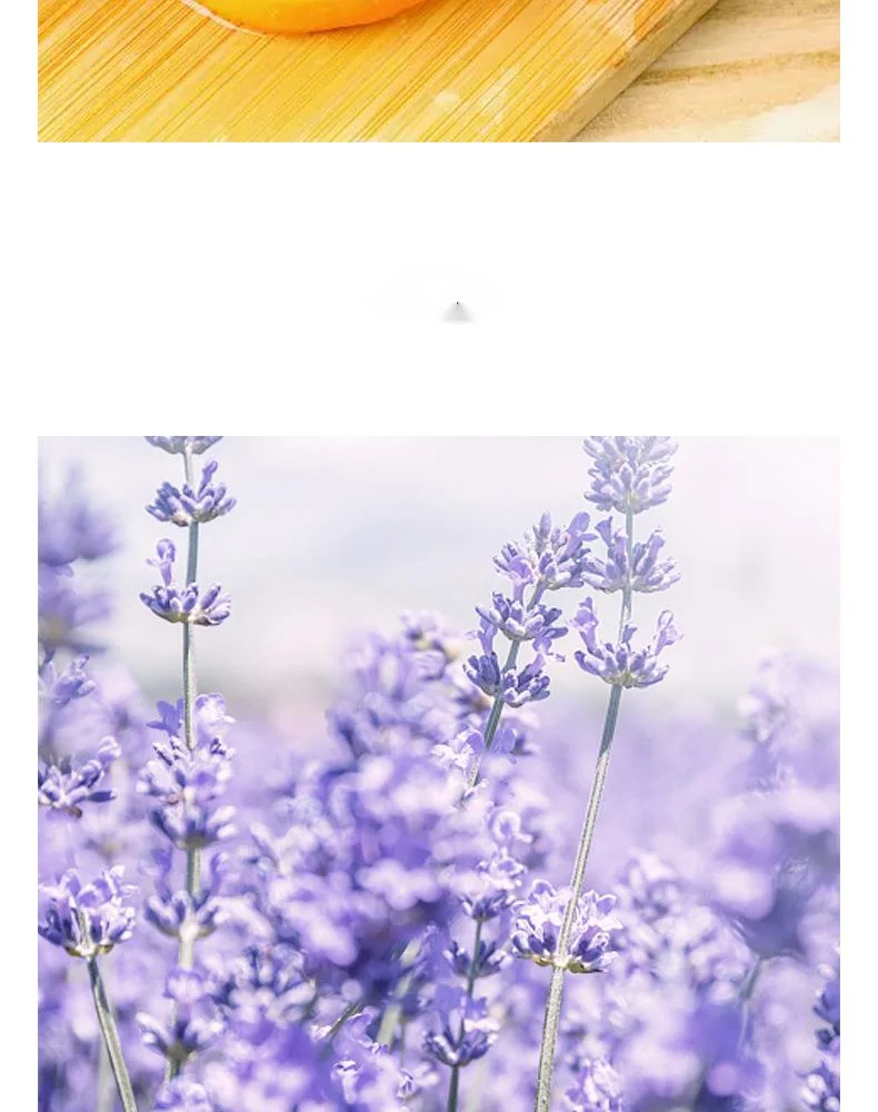 Nuovo profumo, autentico, ecc. Li Fei 50ml Free Water Profumo da donna, nota floreale, Eau de toilette fresca e duratura per studenti_voghion.com