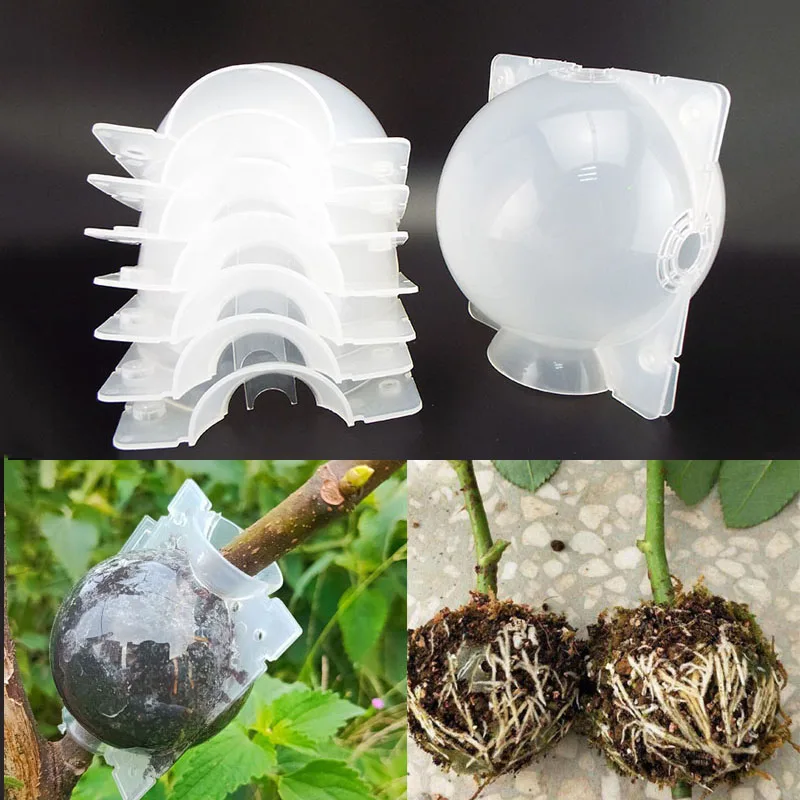 12cm Fruit Plant Tree Rooting Ball Root Box Plastic Case Transparent Flower Grafting Rooter
