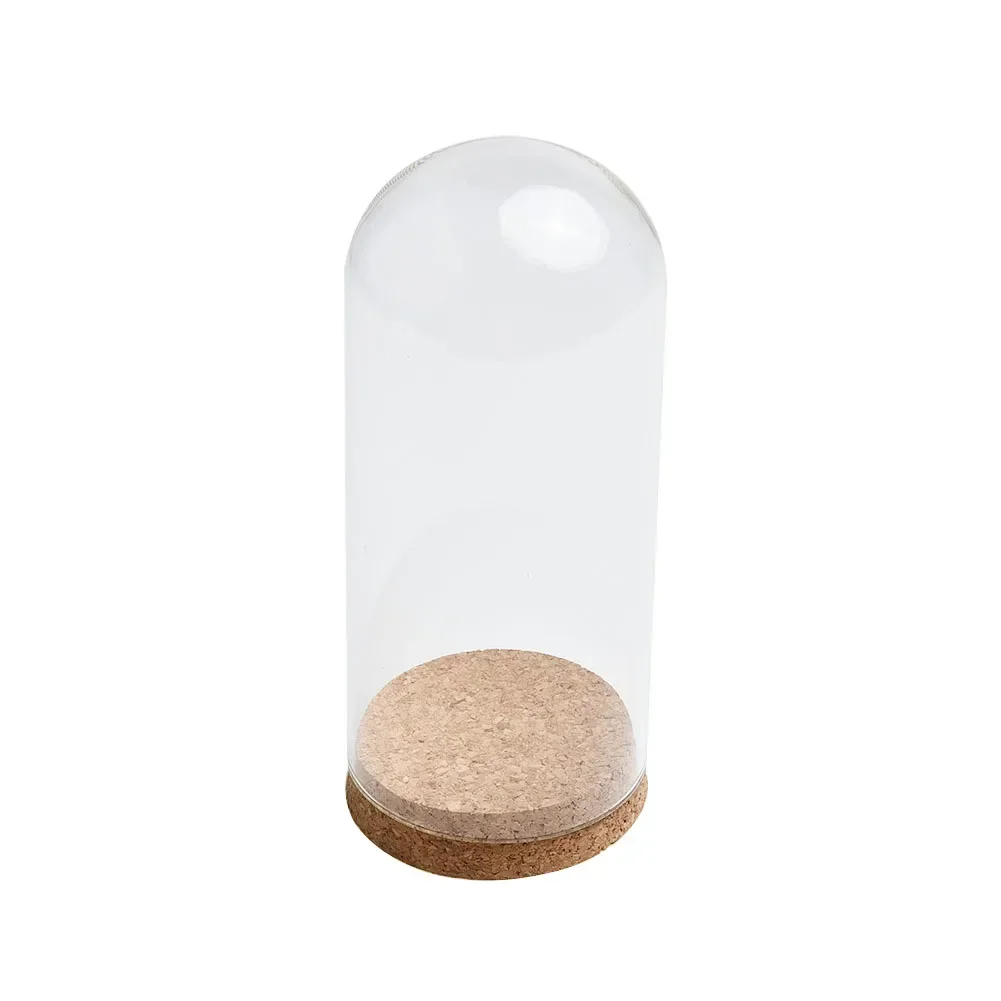 Home Decor Vases Glass Flower Display Cloche Bell Jar Dome Immortal Preservation Wooden Base Everlasting Flower Glass Cover NEW 6