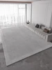 Light Grey Carpet Luxurious Geometric Stripes Living Room Carpets Large Size Decorative Rugs Comfortable Easy Clean Bedroom Rug 3