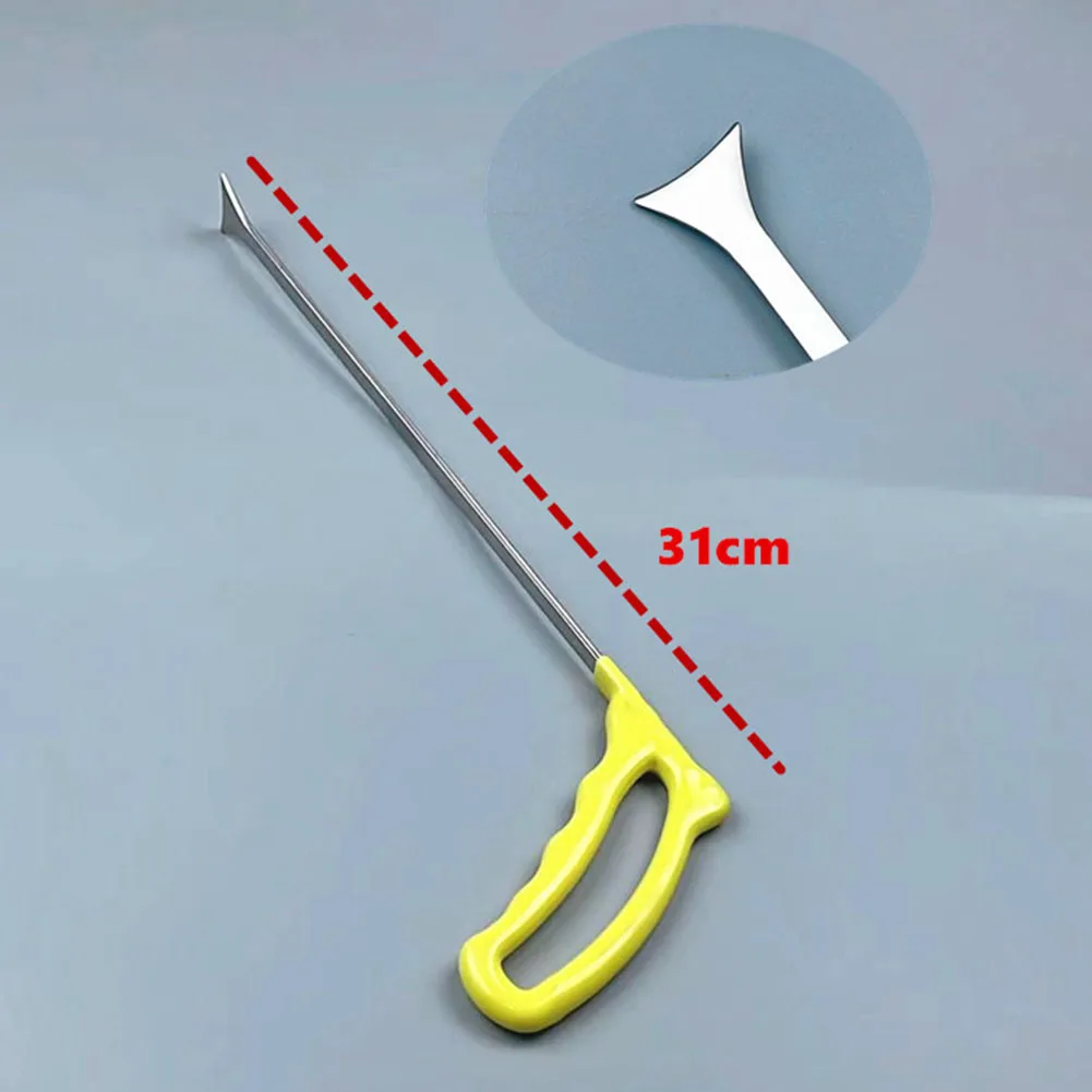31cm