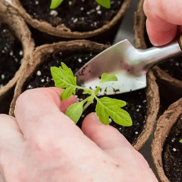 50Pcs Plant Pots Nursery Cups Garden Tray Biodegradable Paper Pulp Peat Pots 6/8cm Plant Grow Bags For Home Garden Accessories 4