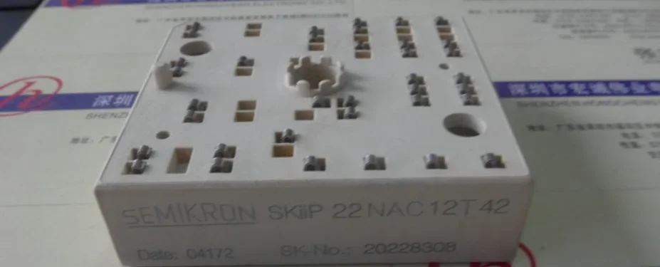 SKIIP22NAC12T42  new and original