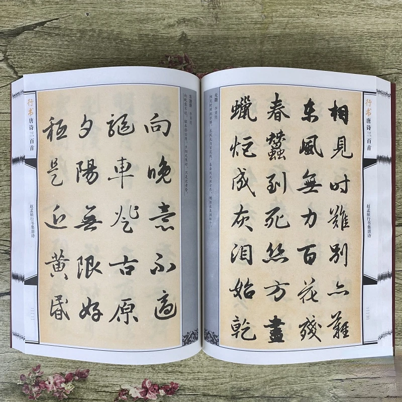 Chinês Clássico Poemas Livro Executando Oficial Selo Script Escova Caneta Caligrafia Prática Copybook China Copybooks 6 High Quality Material escolar e de escritório