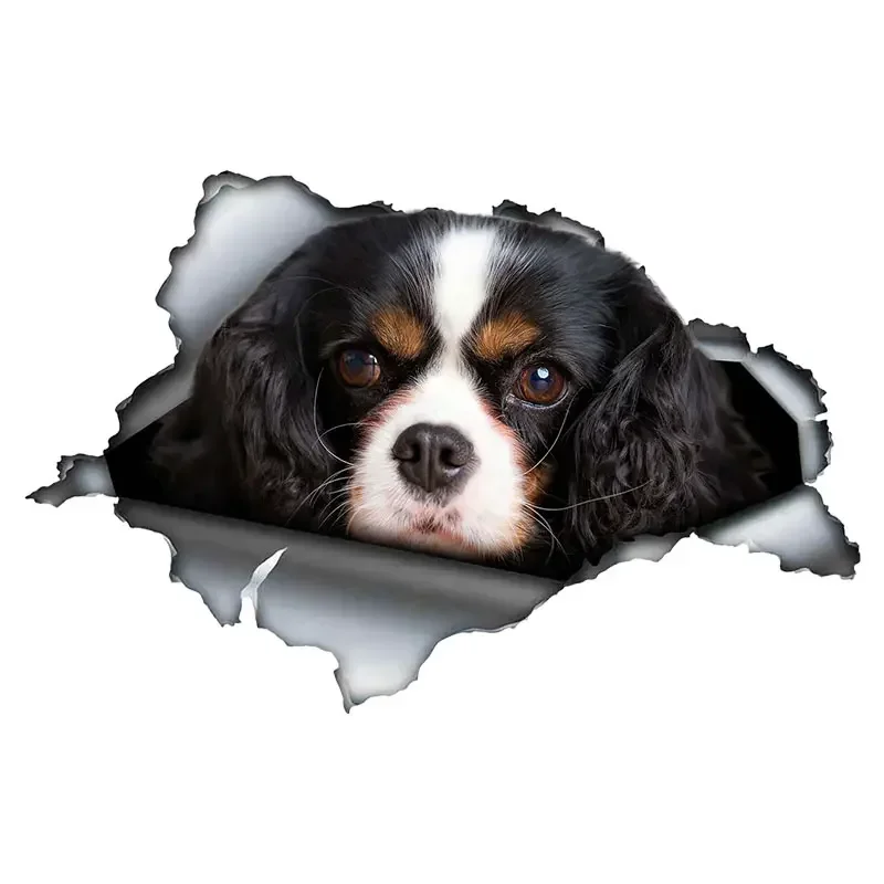 Car Sticker Personalized Creative King Charles Dog Motorcycle PVC Waterproof Sunscreen Decals