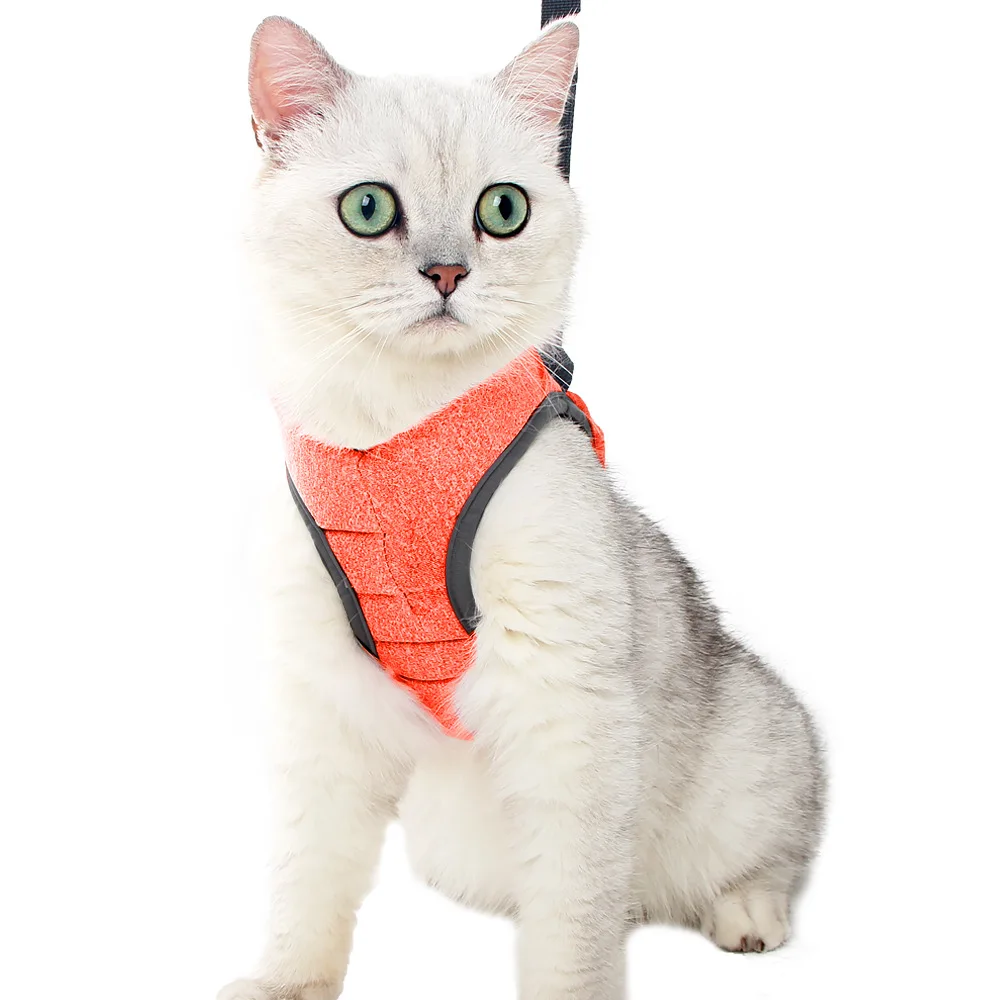 gatinho, Luz Respirável Soft Pet Vest, Fiação,