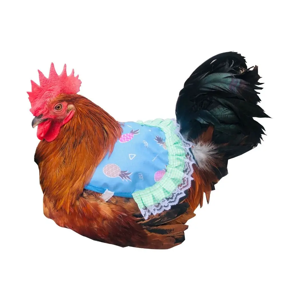 실용적인 천 소재 닭 안장 앞치마 조절 가능한 닭 하네스 조끼 가금류 앞치마 부드러운 암탉 등 조끼 사계절용