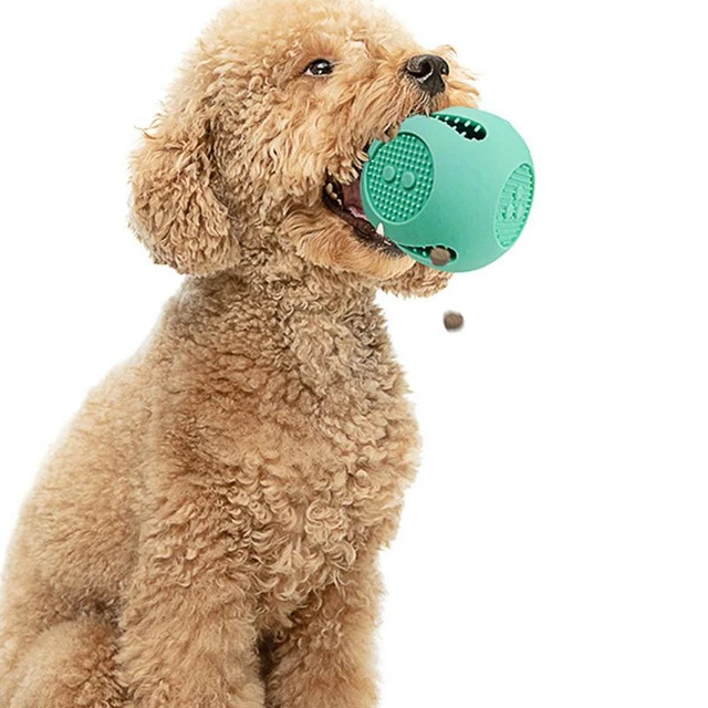 Treat Dispensing Dog Toys Interactive Pet Slow Feeder Ball Dog