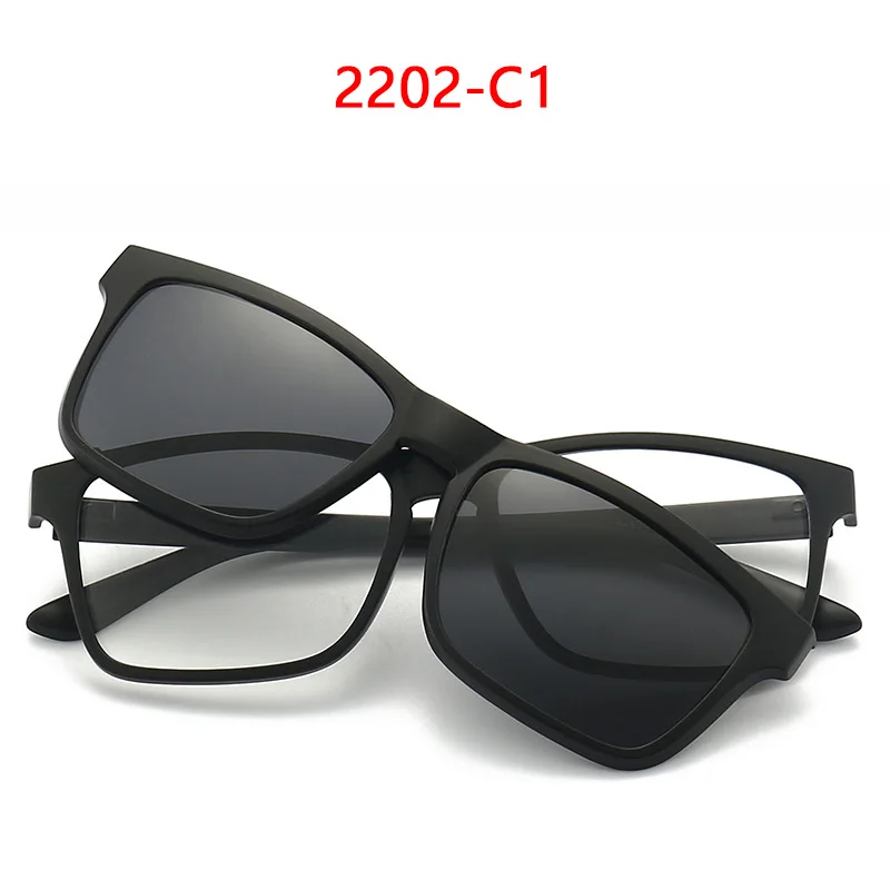 2202A-C1-Polarized