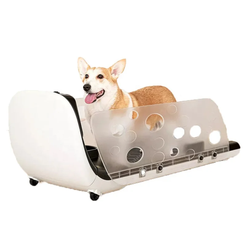 

Ly Treadmill for Dog Dog Water for Sale Pet Treadmill Cheap Dog Treadmill