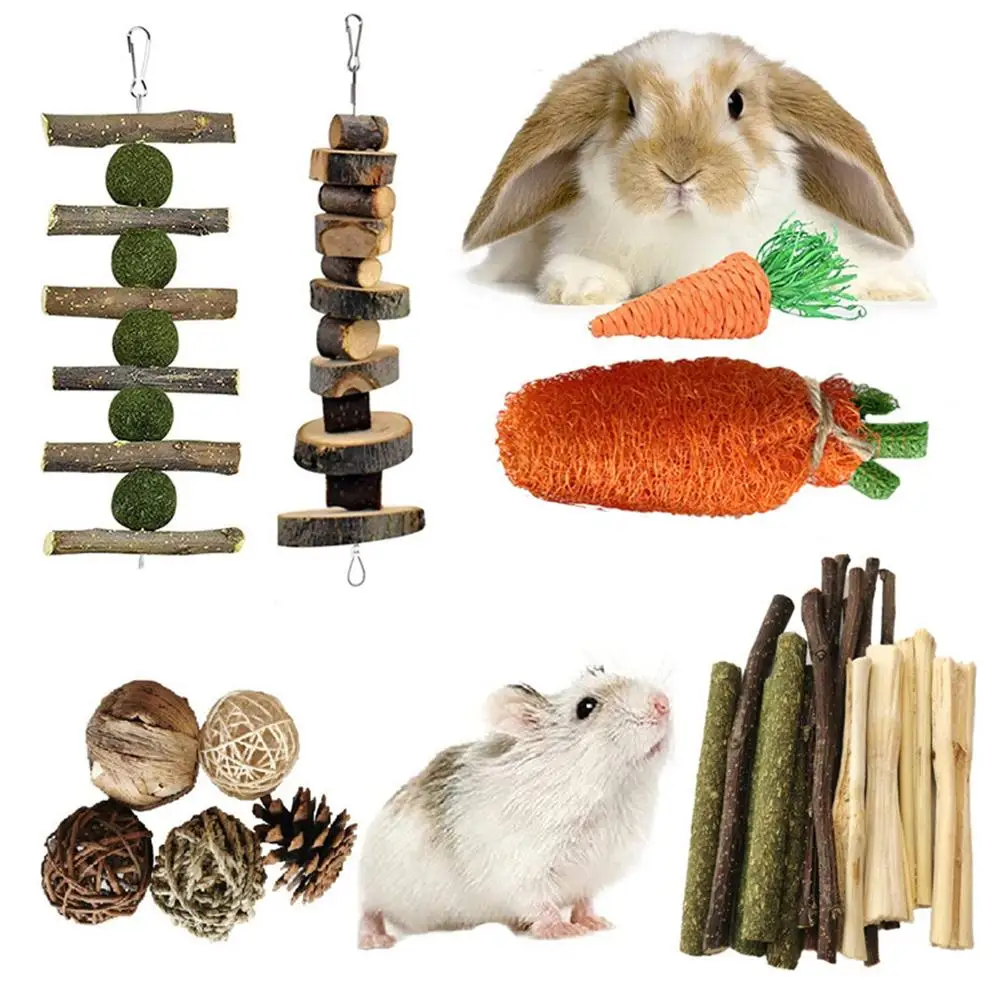 PetChewToysSetNaturalWoodSticksLoofahRattanBallHandmadeTreatsGiftTeethCareFor.jpg