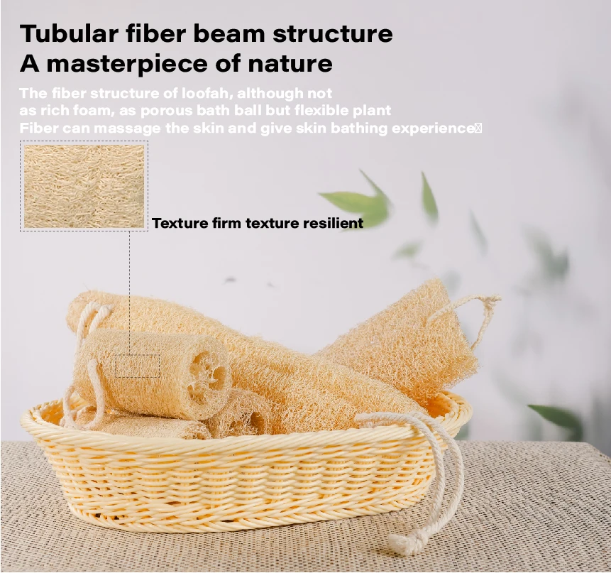 Natural Loofah Sponge Set for Dish Washing Pot Cleaning Vegetable Scrubber Eco Friendly Exfoliating Bath Shower Sponge 3