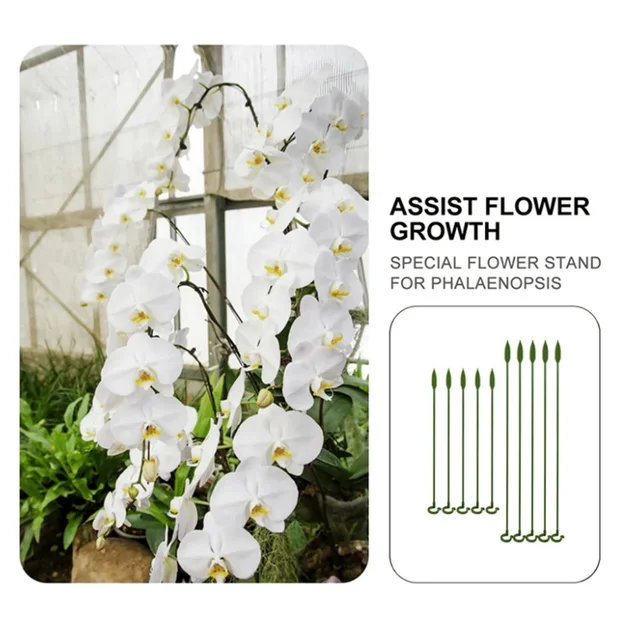 Növénytámogatás 5 Csomag Plant Támogatás Tétkert Egyetlen Szárú Növényi Tartó Karika Prop Virágok Orchidea Paradicsom - Image 3