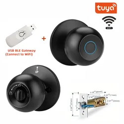 Biometric Fingerprint Keyless Smart Door Lock - Single tongne (Black and Gateway)