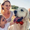 Adjustable Plaid Dog Bow Tie Cat Bowtie Soft Pet Neckwear for Small Medium Dogs Puppy Chihuahua Best Gift Idea 3