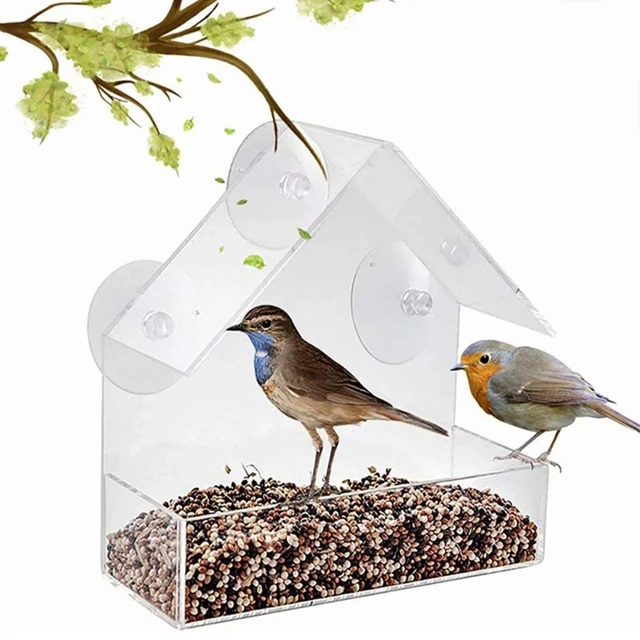 Nature Anywhere Transparent Acrylic Window Bird Feeder - Enhanced Suction  Grip, Bird Watching for Cats, Easy-to-Clean, Outdoor Birdhouse - Perfect  for