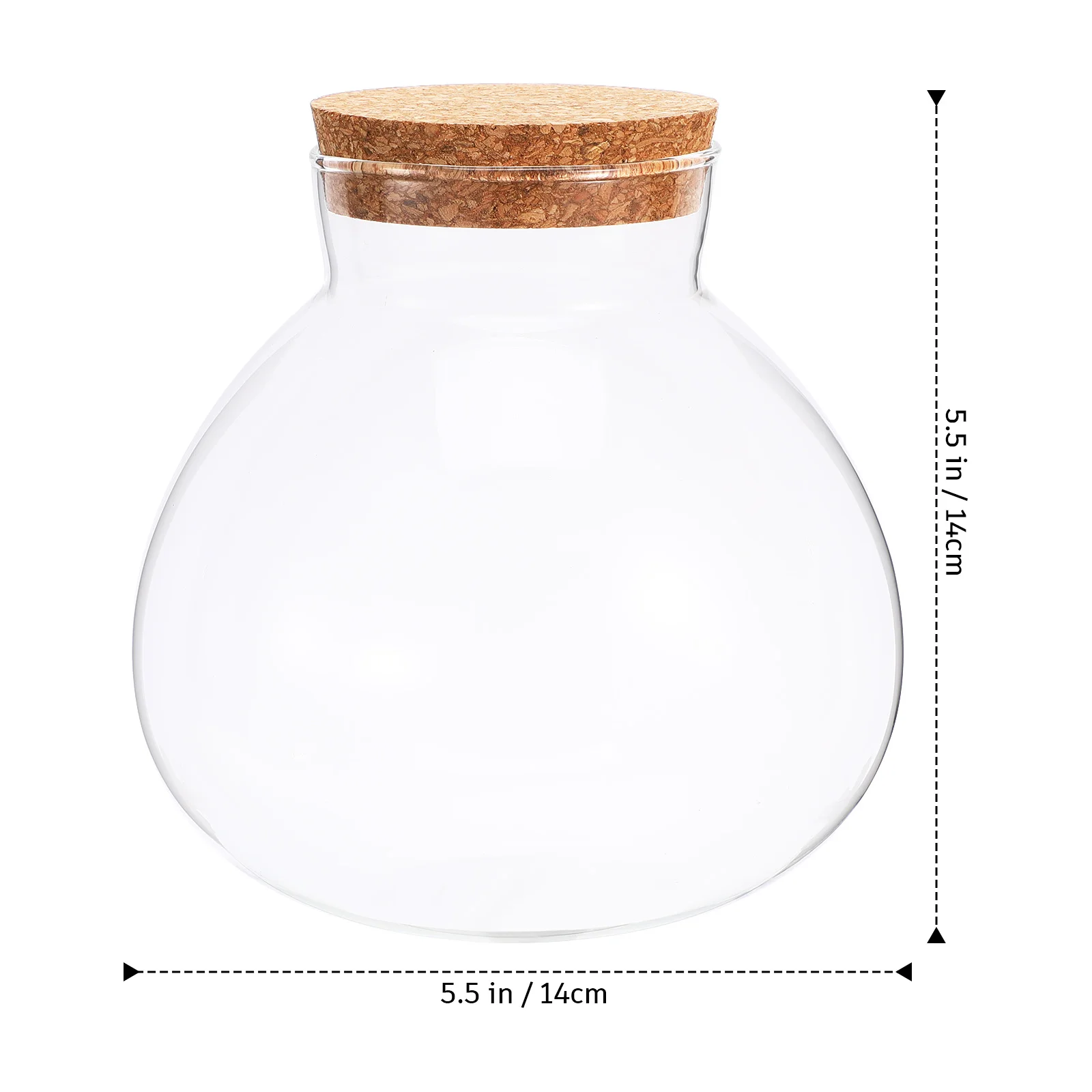 Micro Landscape Ecological Bottle Microlandscape Plants Light Bulbs Home Empty Glass Moss Planter Terrarium 2