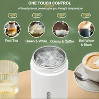 Travel Electric Kettle Portable Small Mini Tea Coffee Kettle Water Boiler, Water Heater Steel & Auto Shut-Off & Boil Dry Protect 2