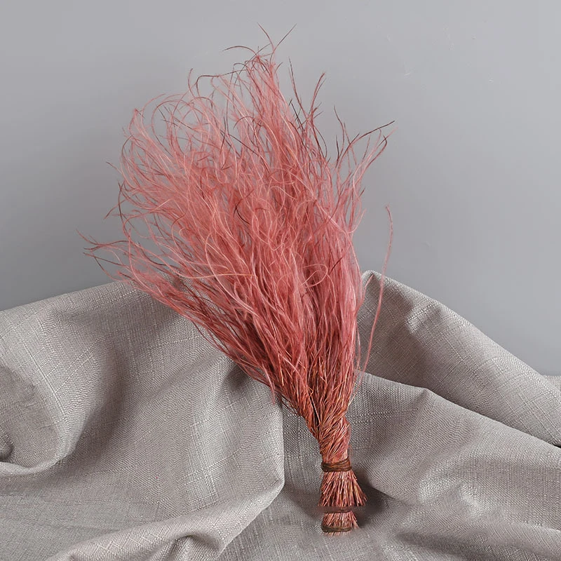 Pink Dried Feather Grass Preserved Flowers Dry Flower Natural Immortal  Plant Party Wedding Bouquet Flower Home Table Decoration - Dried Flowers -  AliExpress