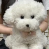 Cute Simulation Curly Dog Bichon Dog Plush Toy Kawaii Real Life Plush Toys Girl Birthday Girlfriend Gift Accessories 1