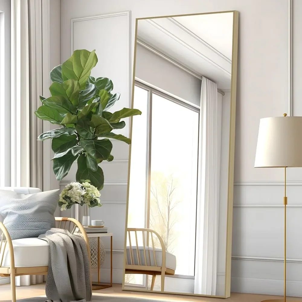 

Full-length Floor mirror, Aluminum Alloy Thin Frame, Matte Champagne Color, 65"" x22