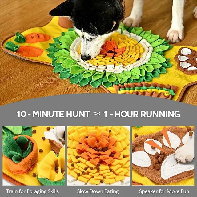 New Pet Smell Mat Foraging 4