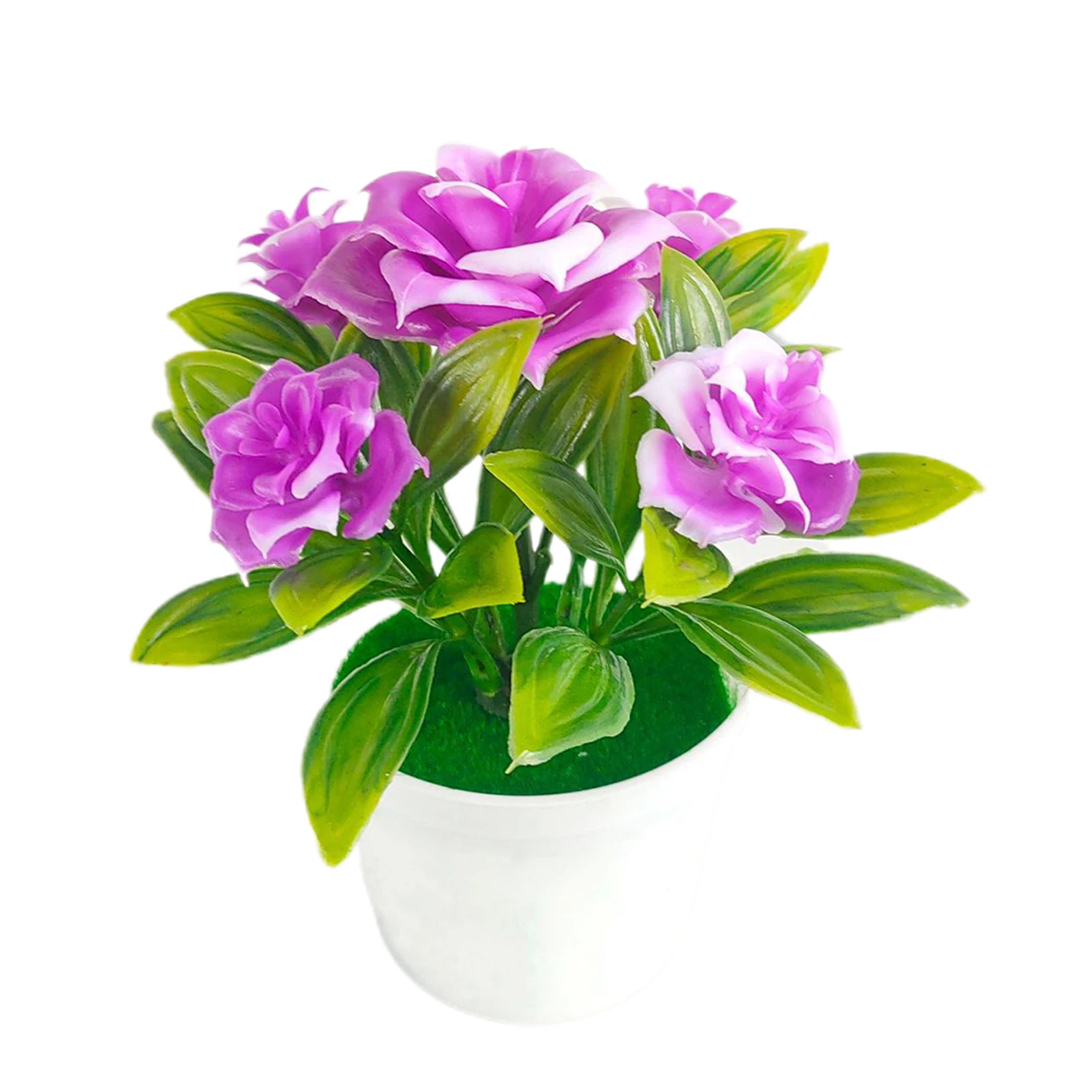 Purple 4