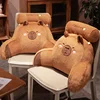 Lumbar Support Pillow 3