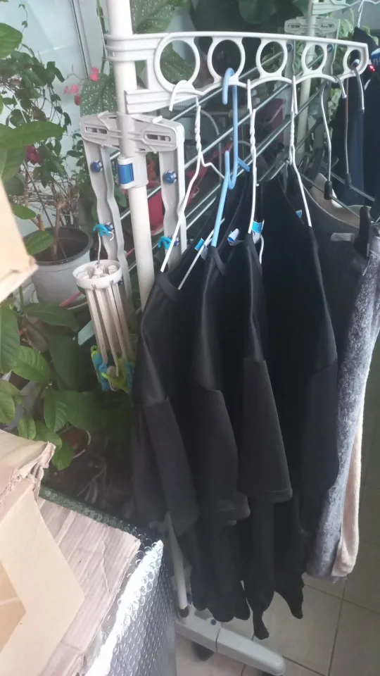 LEGO Creator 3 in 1 Tropical Ukulele Instrument Toy, Transforms from Ukulele to Surfboard Toy to Dolphin Toy photo review