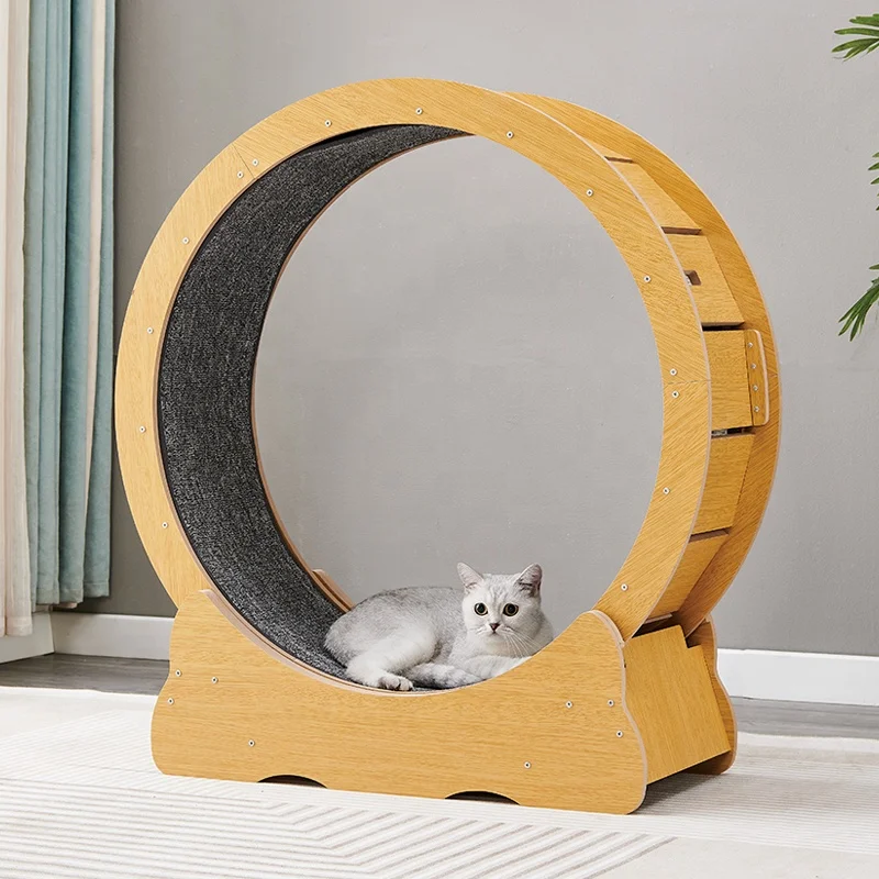 Pet Manufacturer Sale Cat Sport and Running Wheel for Cat Activity Exercise Pet Running Spinning Treadmills