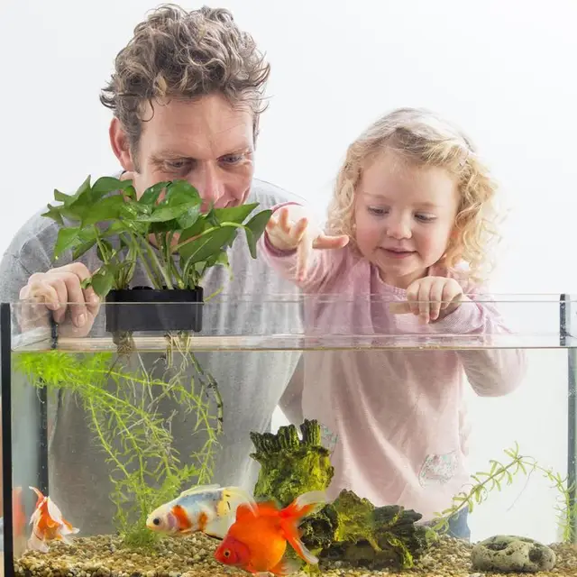 Függő Akváriumi Növény Tartó Vízi Növényi Edény Lyukú Akvárium Ültetvényes Csészékkel Kiemelkedett Növények Aquascape Dekorációk - Image 4