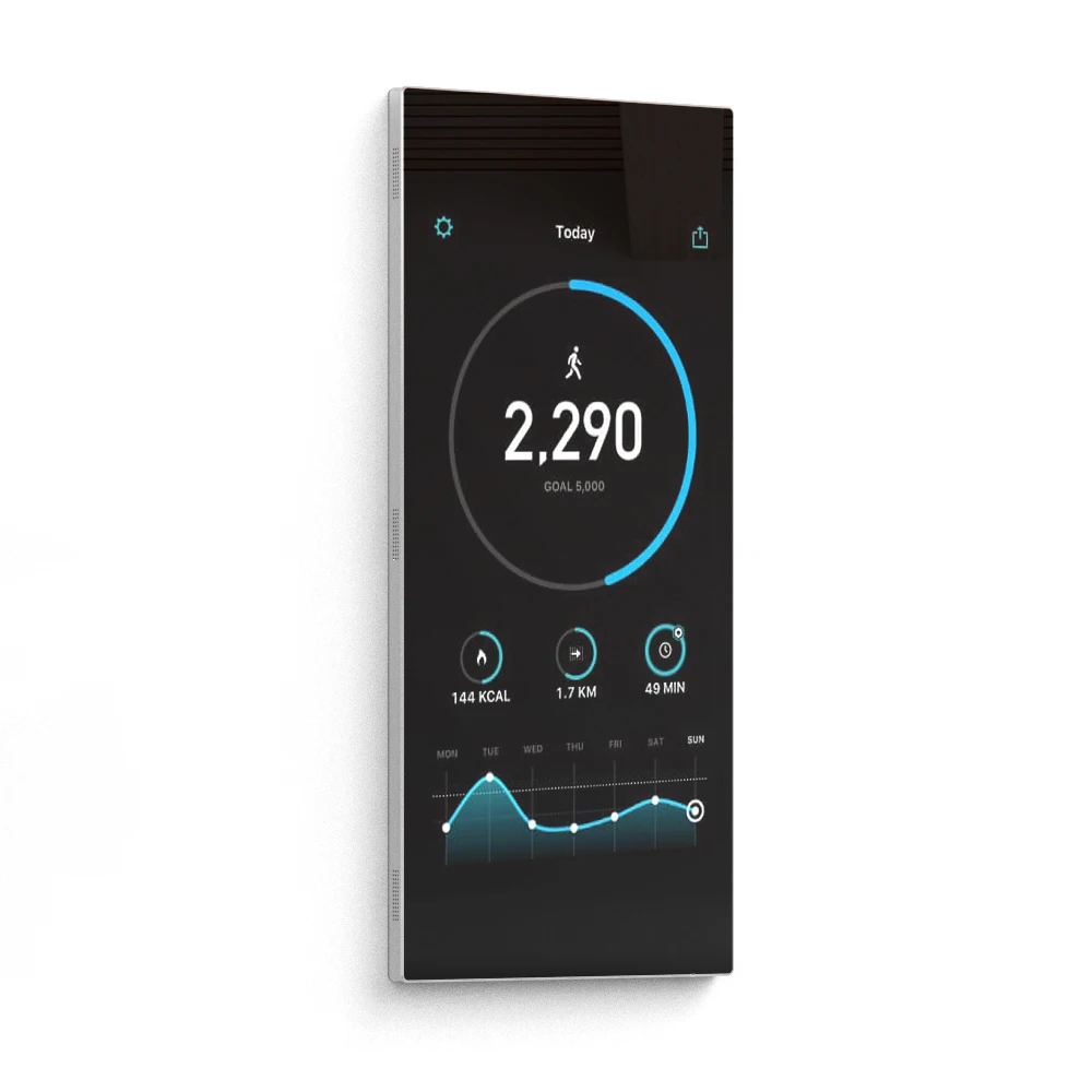 Mirror best sale exercise screen