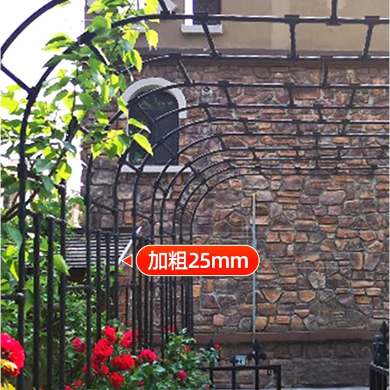 Arch Rack for Climbing Plants 6