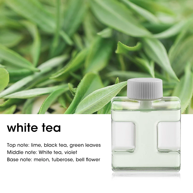 Compact 50ml Ultrasonic Aromatherapy Diffuser and Air Purifier
