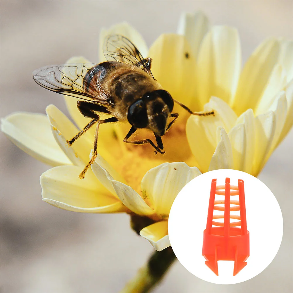 

Beekeeper Equipment Apiculture Supply Queen-bee Isolation Cages for Beekeeper Replacement Daily Beekeeping Equipment
